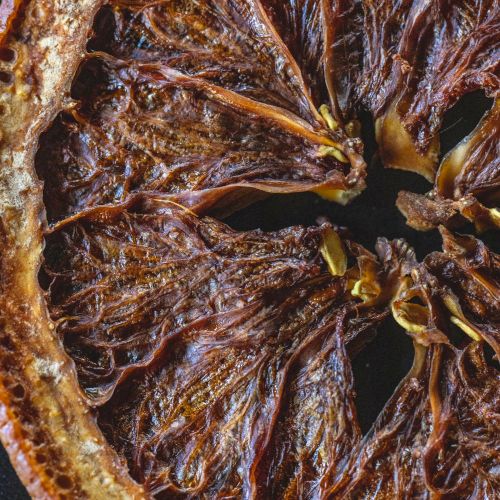 A dried lemon slice, showing wrinkled brown flesh and a pale rind. Top it at 140 characters, always ending the sentence.